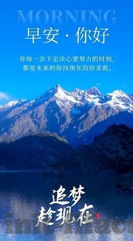森林舞会说明-森林舞会，自然与文化的和谐交响曲